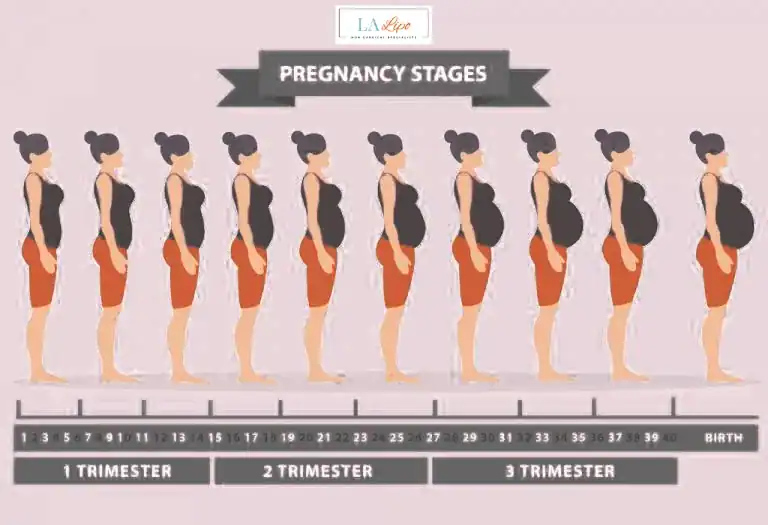 First Trimester (Weeks 1–12): Early Changes You Might Not Notice Norwood Green